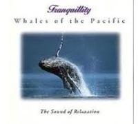 whales of the pacific