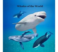 Whales of the World Kids Book: Great Way for Kids to Meet the World's Whales