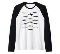 Whales Species Biology Different Types of Whales Raglan Baseball Tee