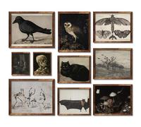 Whaline 10Pcs Halloween Vintage Wall Decor Skeleton Black Cat Dark Academia Wall Art Prints Whimsigothic Wall Art Poster for Gallery Bedroom Living Room(UNFRAMED)