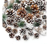 Whaline 170Pcs Christmas Pine Cones Berry Pine Branch Set Snow Pinecones Pendant White Winter Holiday Ornament for DIY Crafts Home Decorations Xmas Tree Gift Tag Party Supplies, Assorted Sizes