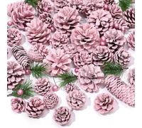 Whaline 170Pcs Christmas Pink Pine Cone Berry Pine Branch Set Pinecone Pendant Pink Winter Ornament for DIY Craft Home Decor Xmas Tree Gift Tag Party Supplies, Assorted Sizes
