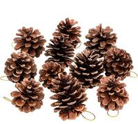 Whaline 25 Pcs 1.6-2.4 Inches Christmas Pine Cones Decoration with String, Natural Rustic Pinecones Bulk Ornaments for Crafting for Home Accent Decor, Fall Thanksgiving Tree Decoration