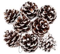 Whaline 25Pcs Christmas Natural Pine Cones Bulk Rustic Snow Pinecones with String Pine Cone Pendant Winter Holiday Hanging Ornament for Xmas Tree Gift Tag Party Decoration, 1.6-2 Inch