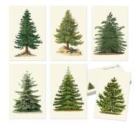 Whaline 36Pcs Christmas Postcard Vintage Xmas Tree Post Card 6 Designs Green Beige Greeting Card for Winter Party Supplies, 4 x 6 Inch