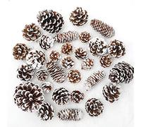 Whaline 43pcs Christmas Pine Cones Natural Snow Pinecones Assortment Pine Cones for Crafts Gift Xmas Tree Holiday Home Ornament Party Favor Decoration Fireplace Mantel Table Centerpiece, 4 Styles