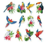 Whaline 48Pcs Tropical Birds Cutouts Back to School Rainforest Birds Bulletin Border Decor Hawaiian Jungle Birds Cut-Outs with 100Pcs Glue Points for Tropical Party Luau Tiki Bar Decor