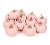 Whaline Artificial Pumpkins Bulk Vintage Pink Pumpkin Harvest Lifelike Pumpkin Fake Foam Pumpkin for Fall Autumn Halloween Home Party Supply Thanksgiving Party House Kitchen Wedding Decor(12pcs)
