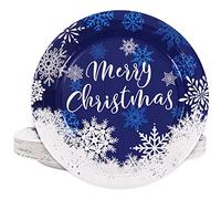 Whaline Christmas Paper Plates White Blue Snowflake Round Disposable Plates 9 Inch Merry Christmas Decorative Tableware for Christmas Winter Holiday Dinner Birthday Party Supplies, 24Pcs