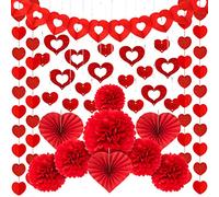 Whaline Valentines Day Party Decorations Kit, 1 Red Heart Hollow Garland Banner, 100 Heart Ornament with Foil Ribbon String, 3 Heart Paper Fans, 4 Sparkling Heart Strings Decor, 6 Red Paper Pompoms