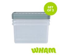 Wham Clip 6.03 14L Rectangular Box & Lid Clear/Green Milieu/Stone