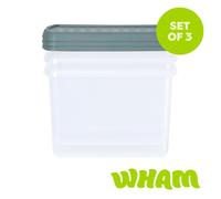 Wham Clip 8.02 21.5L Rectangular Box & Lid Clear/Green Milieu/Stone