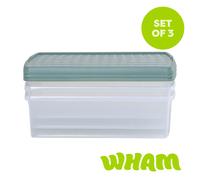 Wham Clip 3x 30L Rectangular Plastic Storage Boxes with Clip Lock Lids in Green Wham Green