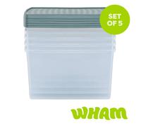 Wham Clip 13.02 62L Rectangular Box & Lid Clear/Green Milieu/Stone, Green