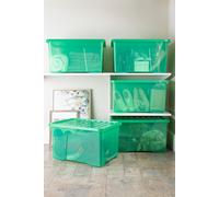 Wham Crystal 60L Storage Box and Lid Set Of 5 - Tint Leprechaun Green, Green