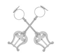 WHAMVOX 2pcs Adjustable Clarinet Music Clips with Buckle Marching Trumpet Lyre Holder Portable Music Fixing Clamps for Practice and Performance Compatible with Various