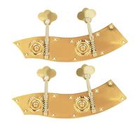 WHAMVOX 2pcs Double Bass Tuning Pegs Sturdy Metal Body for Violin Accessories Guitar Tuners String Pegs Gold