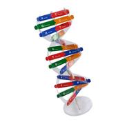 WHAMVOX Double Helix Dna Model Kit Educational Human Genes Assembly Stem Science Teaching Aid for Boys Classroom Physiology Nursing Medical Students Random Color