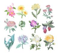 WHAMVOX Flower Embroidered Sewing Patches 12pcs with Thick Texture and Wireless Stitch, Fabric DIY Appliques for Garment and Bags for Handmade Decorations and Clothes