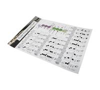 WHAMVOX Flute Learning Guide Chord Chart for Beginners, Coated Paper Flute Note Chart Poster, Wind Instrument Practice Reference for Novice Players