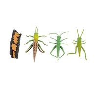 WHAMVOX Grasshopper Growth Process Model Educational Insect Cognitive Toy for Boys and Girls Plastic Simulation of Grasshopper Life Cycle Science Learning Set