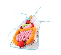 WHAMVOX Human Body Organs Apron Educational Teaching Aid for Kindergarten Anatomy Learning Cognitive Memory Skill Development Tool