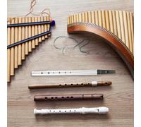 WHAMVOX Irish Whistle Flute for Six Hole C Key Portable Musical Recorder Beginner Friendly Wind Instrument for Adults and Elegant Design for Easy Learning