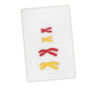 WHAMVOX Magnetic Chromosome Model for Biology Teaching Detailed Representation of Chromosome Changes Easy to Assemble and Clean for Middle School Study and Science Demonstrations