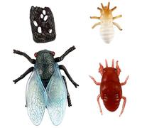 WHAMVOX Realistic Cicada Insect Figurines with Life Cycle Stages for Educational Smooth Design Fine Craftsmanship for Preschool Learning Activities