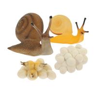 WHAMVOX Snail Growth Cycle Model Educational Lightweight Simulation Snail Figurine for Science Learning Natural Biology Exploration