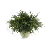 WHANLEY L&Q 23" Christmas Norfolk Pine Branches,Artificial Christmas Decorations,Norfolk Pine Stems for Xmas DIY Crafts Garland Wreath Stems Christmas Decorations Indoor,Christmas Decor 12Pcs