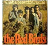 What a beautiful world