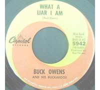 What A Liar I Am / Loving You [Vinyl Single 7'']