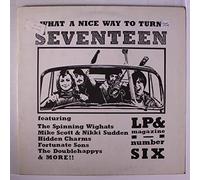 what a nice way to turn seventeen no. 6