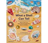 What a Shell Can Tell