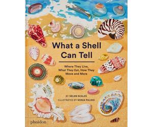 What A Shell Can Tell