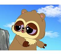 What a Spectacle Bear Needs