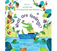 What are Feelings? (Usborne Lift-the-Flap First Questions and Answers)