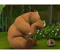 What are the wild fruits?