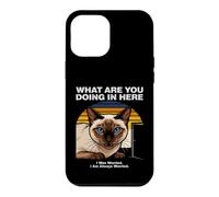 What Are You Doing In Here Anxious Siamese Cat Case for iPhone 12 Pro Max