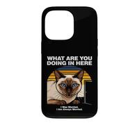 What Are You Doing In Here Anxious Siamese Cat Case for iPhone 13 Pro