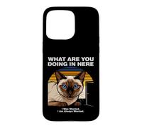 What Are You Doing In Here Anxious Siamese Cat Case for iPhone 15 Pro Max
