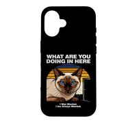What Are You Doing In Here Anxious Siamese Cat Case for iPhone 16