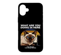 What Are You Doing In Here Anxious Siamese Cat Case for iPhone 16 Plus