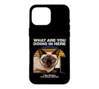 What Are You Doing In Here Anxious Siamese Cat Case for iPhone 16 Pro Max