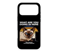 What Are You Doing In Here Anxious Siamese Cat Case for iPhone 17 Pro Max