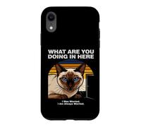 What Are You Doing In Here Anxious Siamese Cat Case for iPhone XR