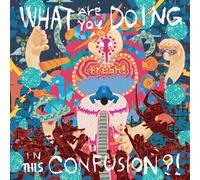 WHAT ARE YOU DOING IN THIS CONFUSION (ジャケット新装盤)