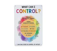 What Can I Control Chart Retro Metal Tin Sign, Vintage Metal Poster for home, Gaming Room, Studio Workshop,Bar,Garage Wall Art Decor 8x12 Inch