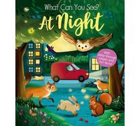 What Can You See At Night?: (What Can You See?)
